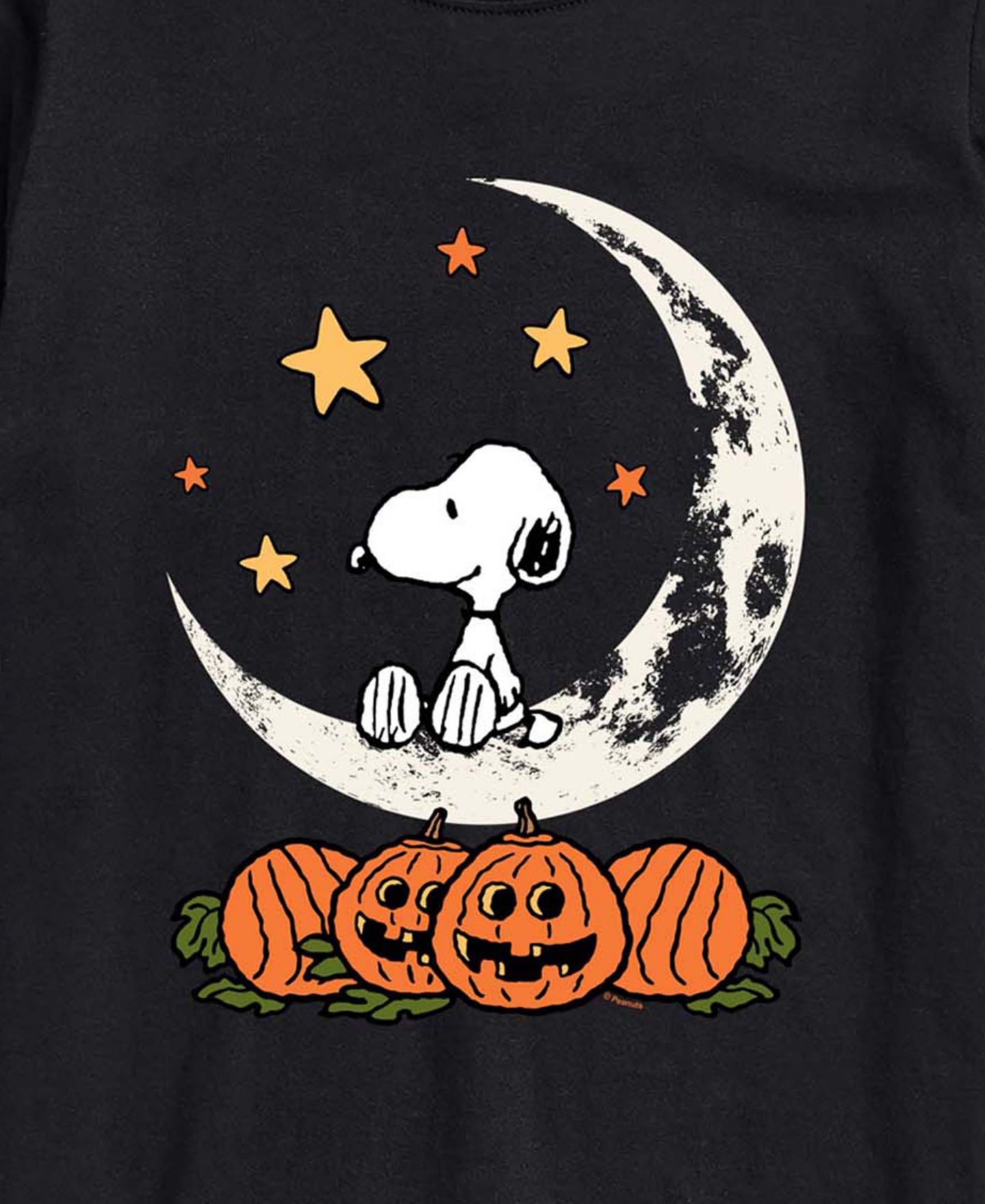 Мужская футболка AIRWAVES Snoopy Halloween Moon Graphic Regular-Fit, цвет: Чёрный — фото 3
