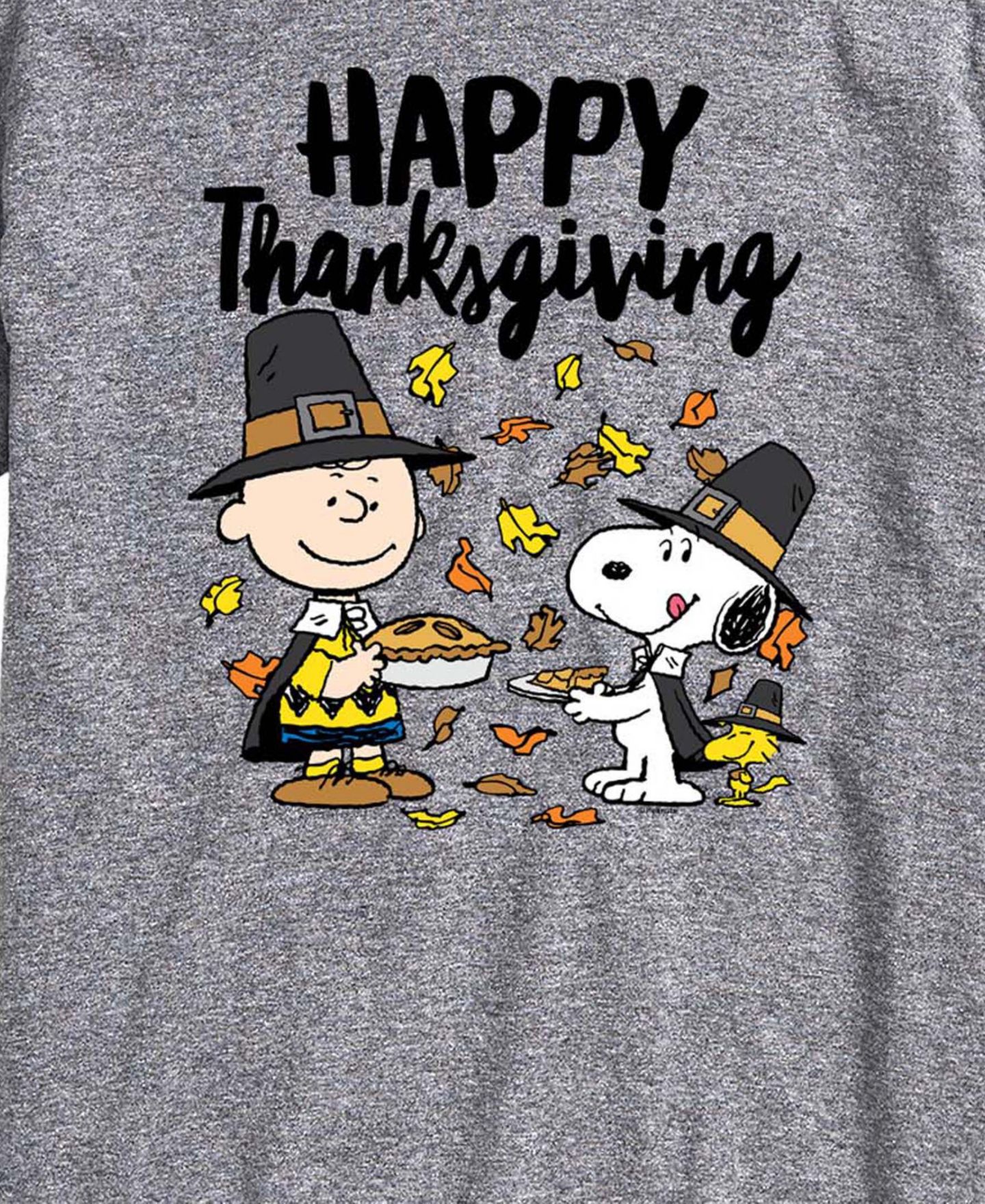 Мужская футболка AIRWAVES Happy Thanksgiving Snoopy Charlie Brown, цвет: Меланжевый — фото 3