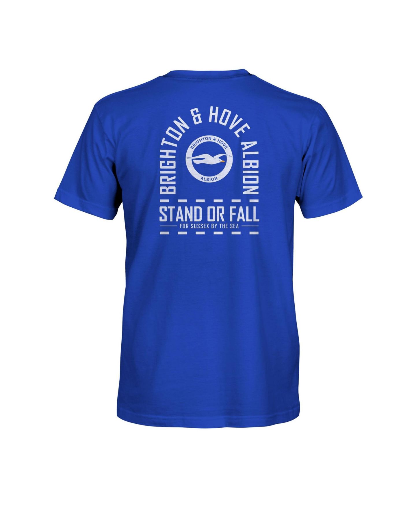 Мужская футболка 1863FC Blue Brighton and Hove Albion True To Glory Heavyweight — фото 3
