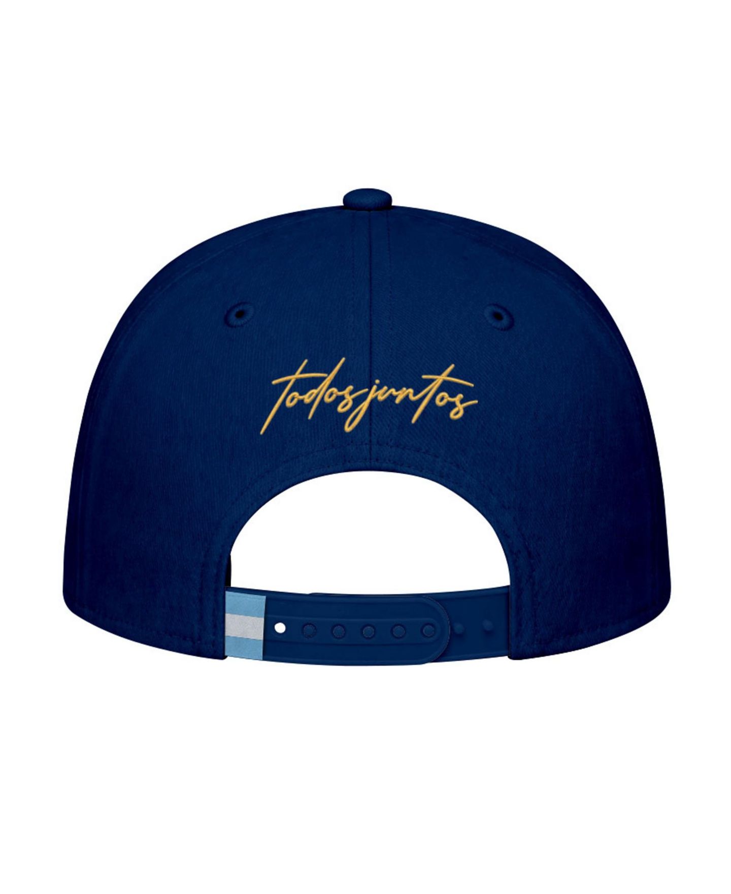 Мужская кепка 1863FC Navy Argentina National Team Striped Band Adjustable Hat — фото 4