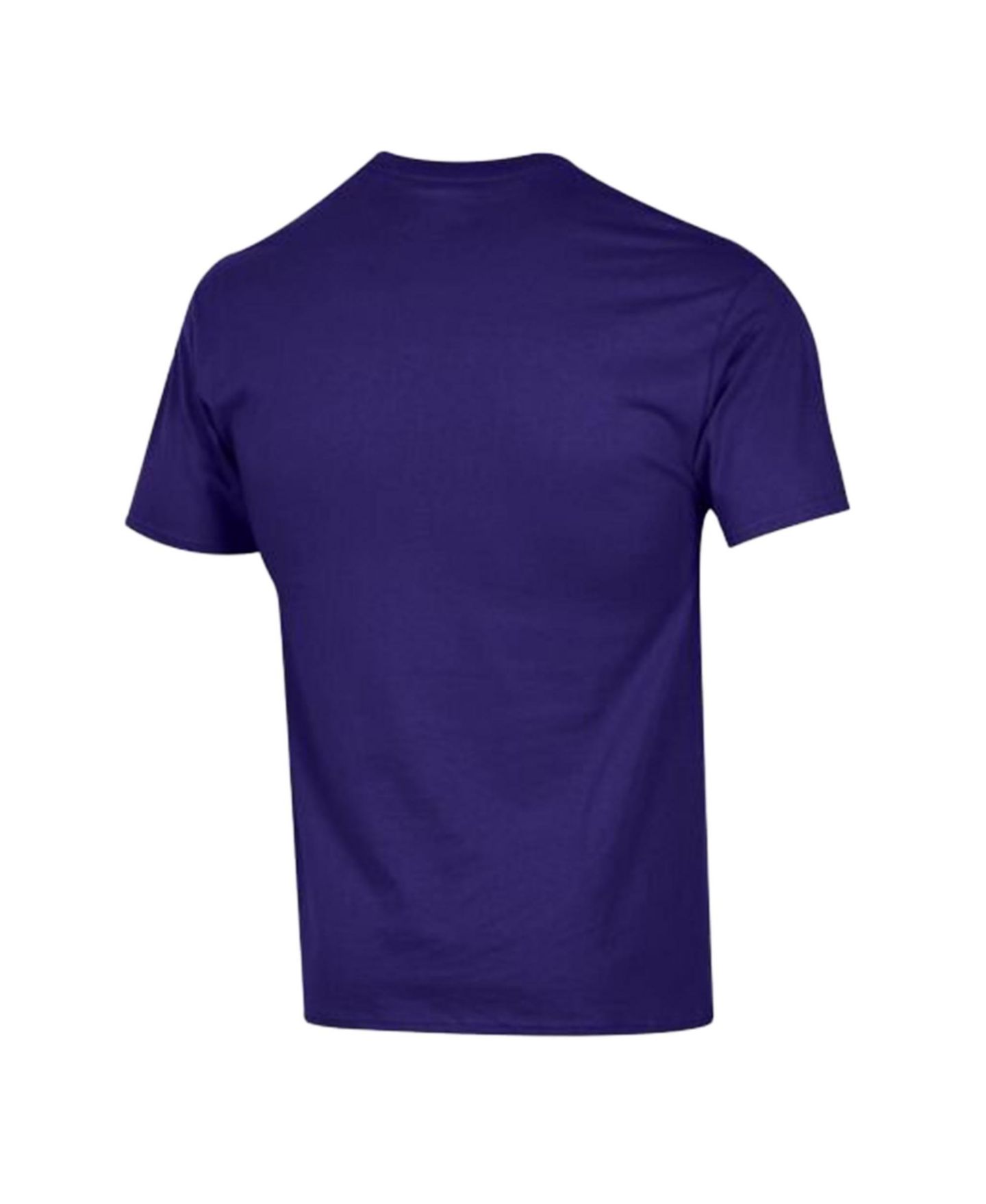 Мужская футболка Champion Purple LSU Tigers Americana 250 Years of Freedom Tonal — фото 3
