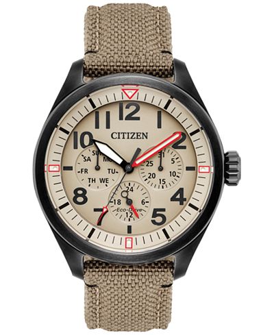 citizen eco drive watch macy's