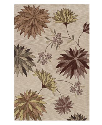 D Style Studio SD5 5' x 7'9