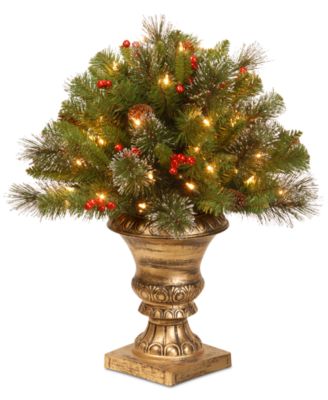 National Tree Company - 24" Crestwood Spruce Porch Bush with Clear Lights