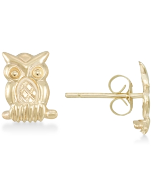 image of Owl Stud Earrings in 10k Gold