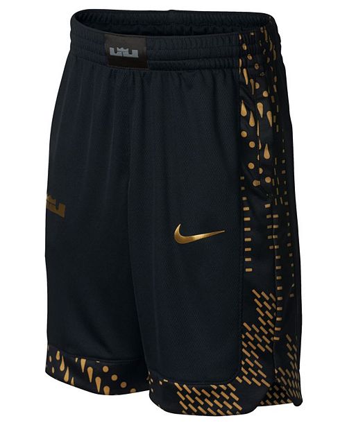 Nike Big Boys Dry Lebron Graphic Basketball Shorts Reviews
