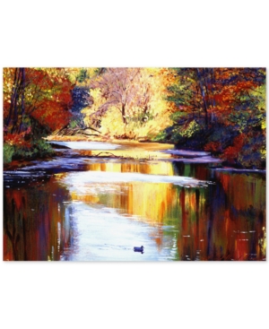 Trademark Global David Lloyd Glover 'reflections Of August' Canvas Art In No Color