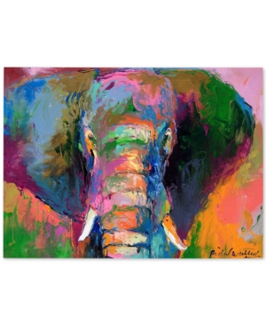 Trademark Global Richard Wallich 'elephant 2' Canvas Art In No Color