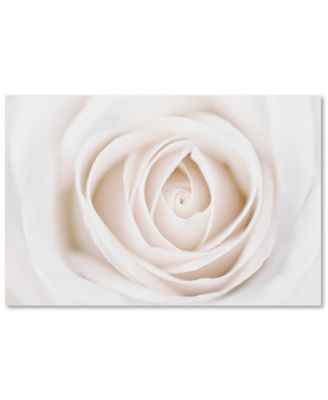 Trademark Global - Cora Niele Pure White Rose 30" x 47" Canvas Art Print