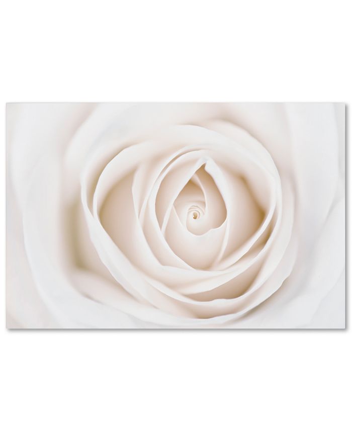 Trademark Global - Cora Niele Pure White Rose 30" x 47" Canvas Art Print