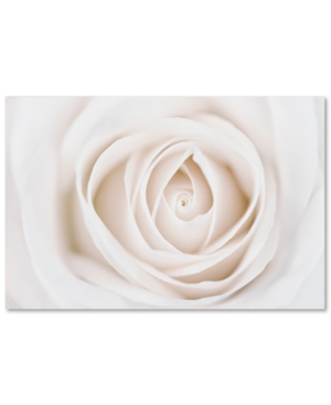 Trademark Global Cora Niele 'white Rose' Canvas Art In No Color