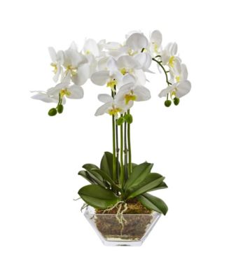 Nearly Natural Triple Phalaenopsis Orchid in Glass Vase - Macy's