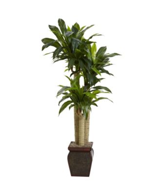 Nearly Natural - 4.5' Cornstalk Dracaena Silk Plant with Vase (Real Touch)