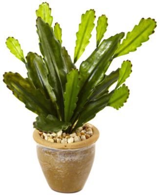 Nearly Natural - Cactus Artificial Plant in Glazed Clay Pot