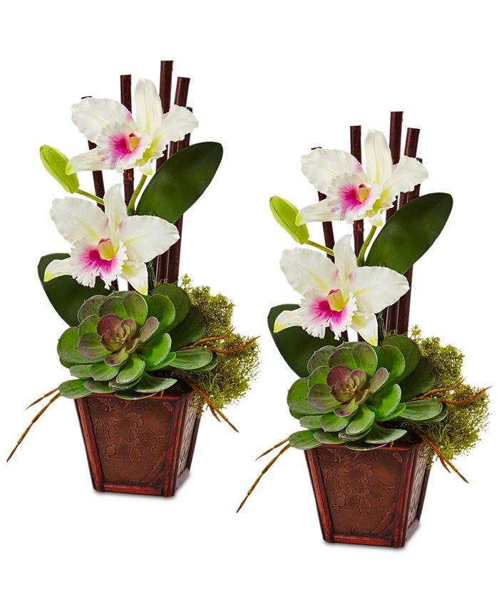 Nearly Natural - White Cattleya Orchid and Succulent Arrangement, Set of 2