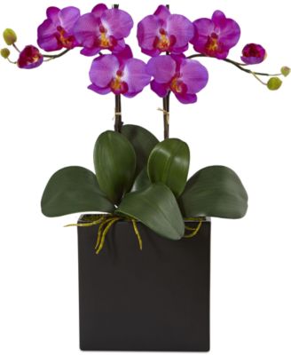 Nearly Natural - Double Mini Phalaenopsis Orchid Artificial Plant in Black Vase