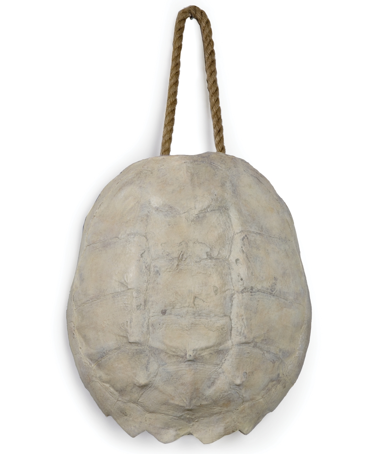 Turtle Shell Accessory, Quick Ship