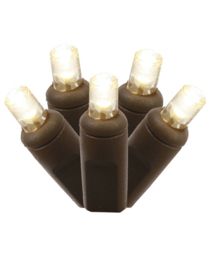 Vickerman 50 Warm White Wide Angle Led Light on Brown Wire 25' Christmas Light Strand