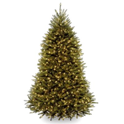 National Tree Company - National Tree 6' Dunhill Fir Tree with 600 Clear Lights