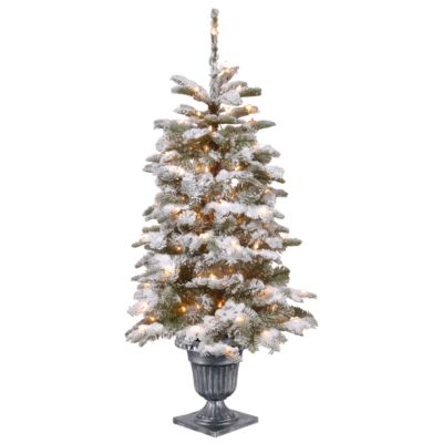 National Tree Company 4' Feel Real®  Snowy Camden Entrance Tree in Silver Brushed Urn with 100 Clear Lights