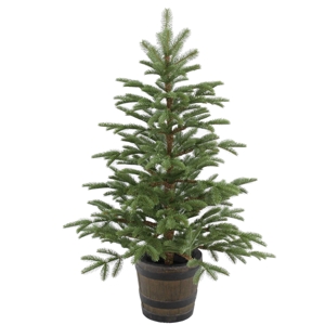National Tree Company 4' Feel Real(R) Pe Norwegian Spruce Entrance Trees in Wiskey Barrel Pot