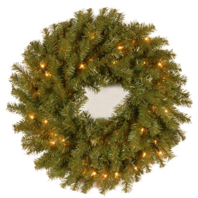 National Tree Company - 24" Norwood Fir Wreath with 50 Clear Lights