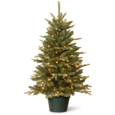 National Tree Company - 3' Everyday Collections Small Tree in Green Pot with 100 Clear Lights