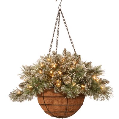 National Tree Company - 20" Glittery Bristle Pine Hanging Basket with Pine Cones and 50 Warm White Battery Operated LEDs with Timer