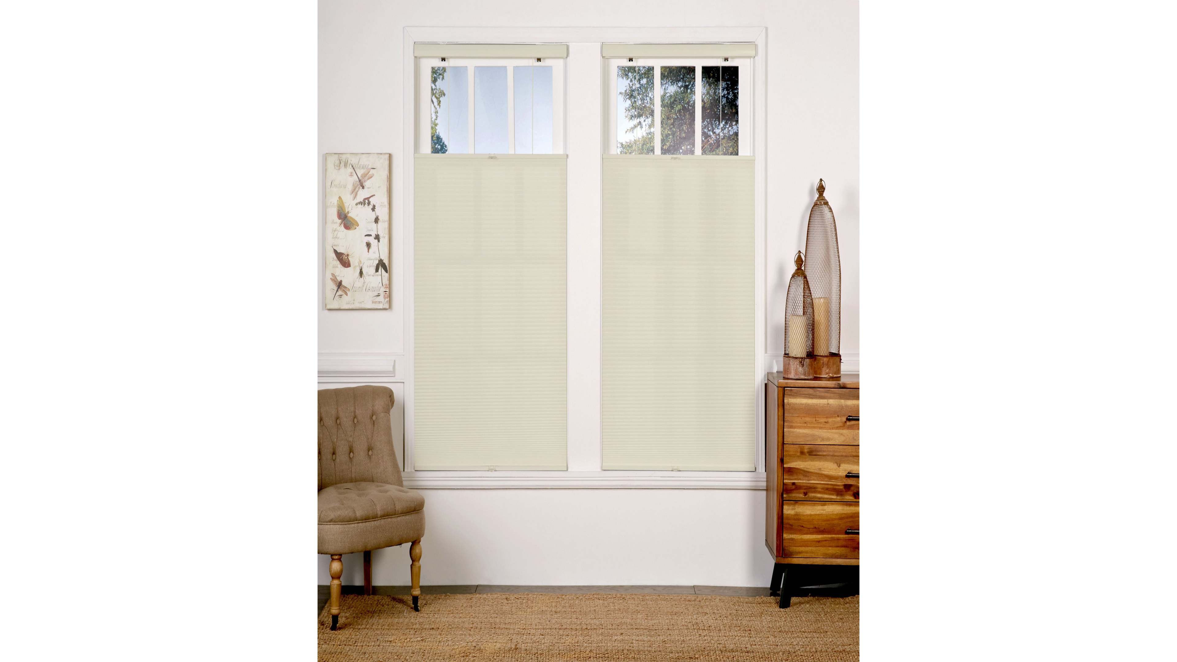 Cordless Light Filtering Top Down Bottom Up Shade, 24" x 72"