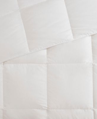 All Season Oversized Down 100% Cotton Cover Comforter, Twin