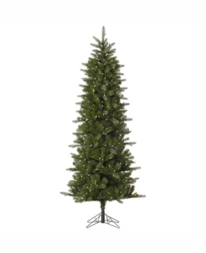 Vickerman 10 ft Carolina Pencil Spruce Artificial Christmas Tree With 550 Warm White Led Lights