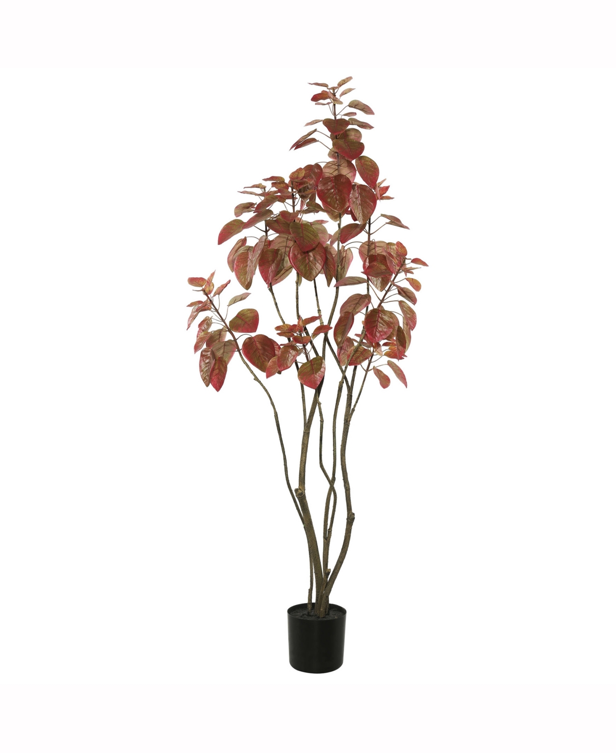 Vickerman 4' Artificial Red Potted Rogot Rurple Tree With 177 Leaves In No Color