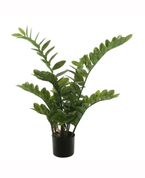 Vickerman 43