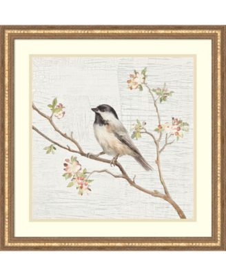 Amanti Art - Black Capped Chickadee Vintage 22x22 Framed Art Print