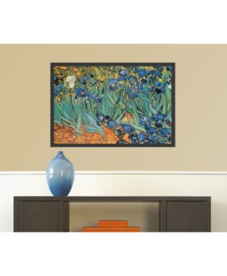 Amanti Art Garden Of Irises By Vincent Van Gogh- Framed Art Print