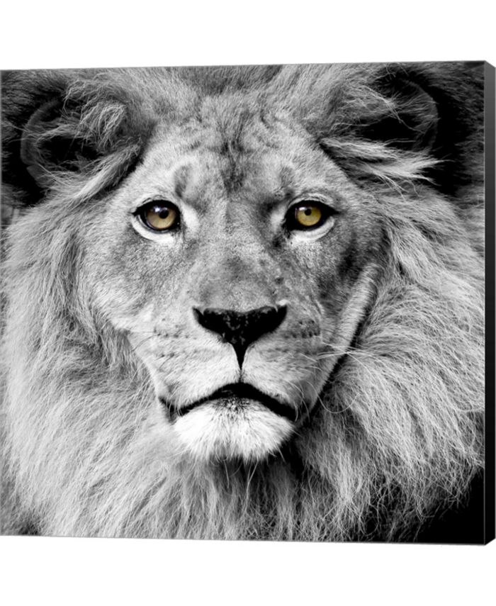 Metaverse Lion by PhotoINC Studio Canvas Art & Reviews - Wall Art - Macy's