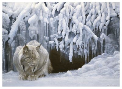 MasterPieces Puzzles Cobble Hill Dozing Lynx 1000 Piece Jigsaw Puzzle