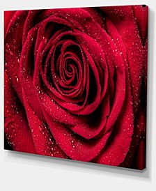 Designart Red Rose Petals With Rain Droplets Floral Art Canvas Print - 40" X 30"