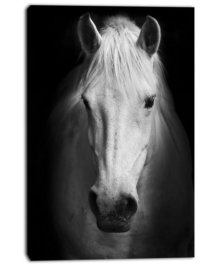 Design Art Designart White Horse Black And White Animal Canvas Art