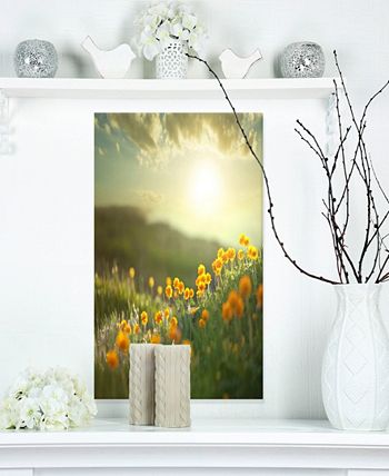 Designart 'Poppy Flowers on Summer Meadow' Floral Framed Canvas Art Print - 20 in. Wide x 12 in. High