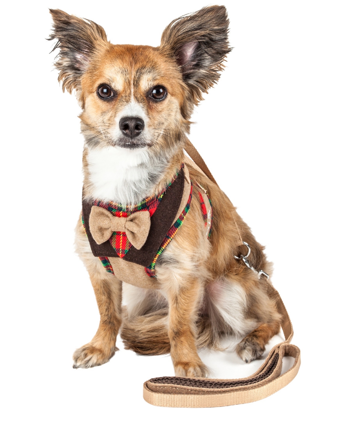 Luxe 'Dapperbone' 2-in-1 Dog Harness Leash with Fashion Bowtie - Brown