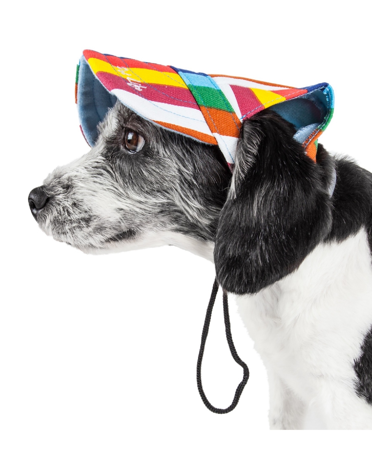 'Colorfur' Floral Uv Protectant Adjustable Fashion Dog Hat Cap - Multi