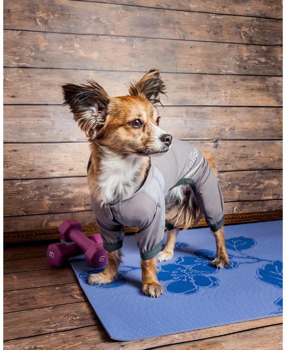 Dog Helios Namastail Breathable Full Body Performance Yoga Dog Hoodie Tracksuit