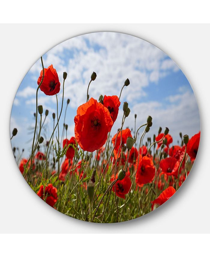 Design Art Designart 'Bright Red Poppy Flowers Photo' Disc Flower ...