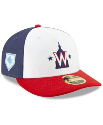 washington nationals low profile hat