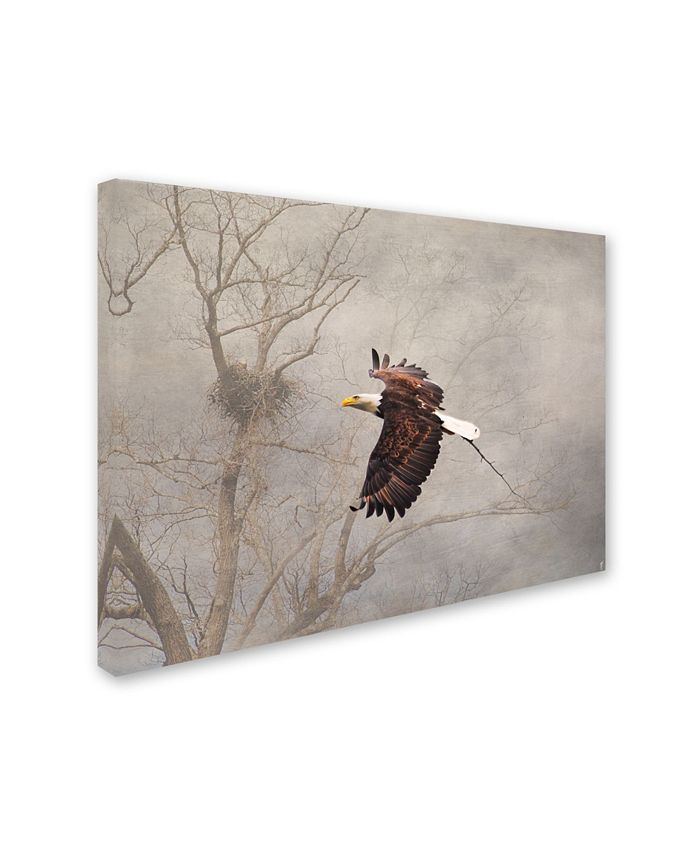 Trademark Global Jai Johnson 'Starting Over Bald Eagle' Canvas Art - 47 ...