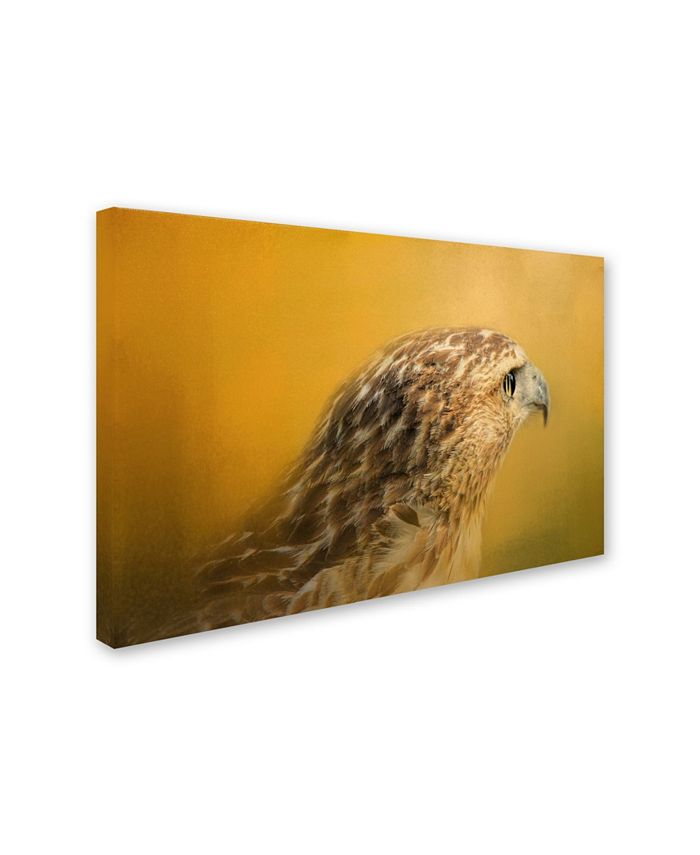 Trademark Global Jai Johnson 'Red Tailed Hawk At Sunset' Canvas Art ...