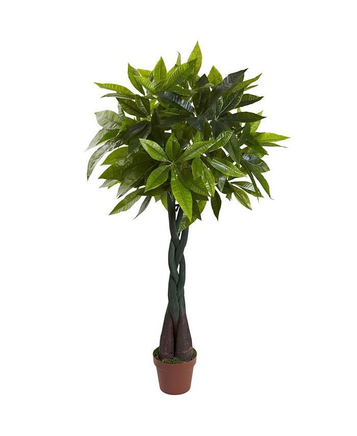Nearly Natural - 4' Money Plant - Real Touch