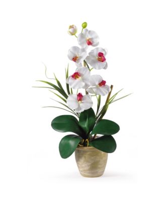 Phalaenopsis Silk Orchid Flower Arrangement