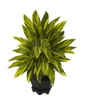 NEARLY NATURAL GINGER PLANT W/ BLACK PLANTER 